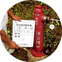 地上式及び地下式消火栓のメンテナンス業務